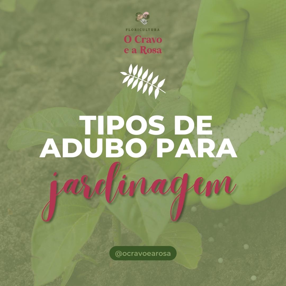 Tipos de adubo para jardinagem